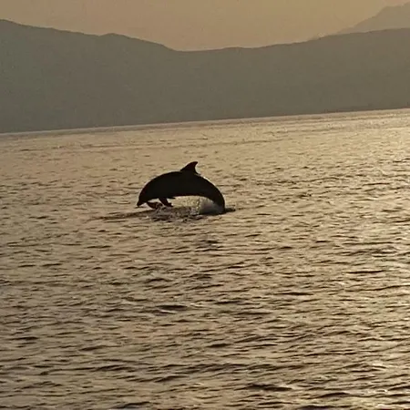 شقة Of Fame - Gallery With Fully Equipped Kitchen, Separate Entrance, Free Parking *