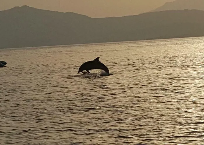 Appartement Of Fame - Gallery With Fully Equipped Kitchen, Separate Entrance, Free Parking *